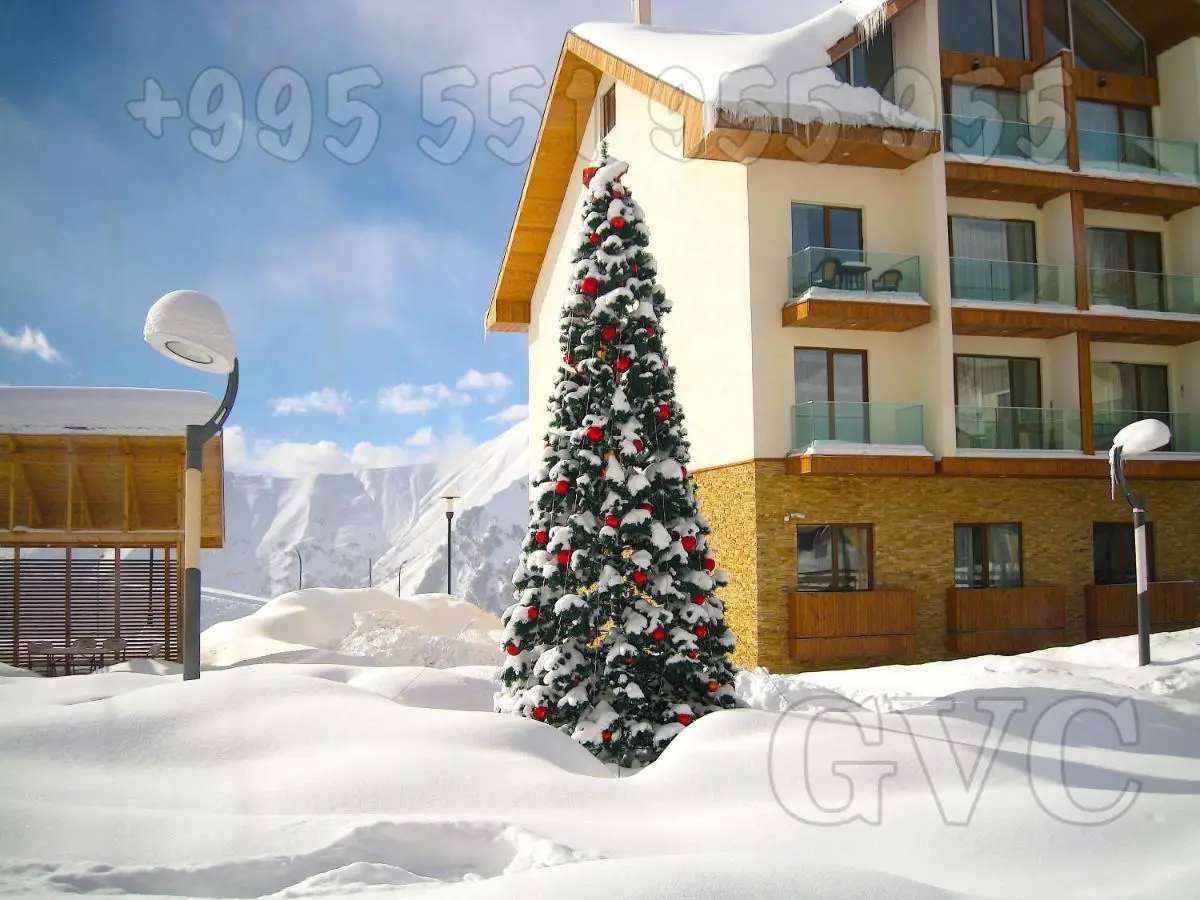 GVC New Gudauri Mountain View