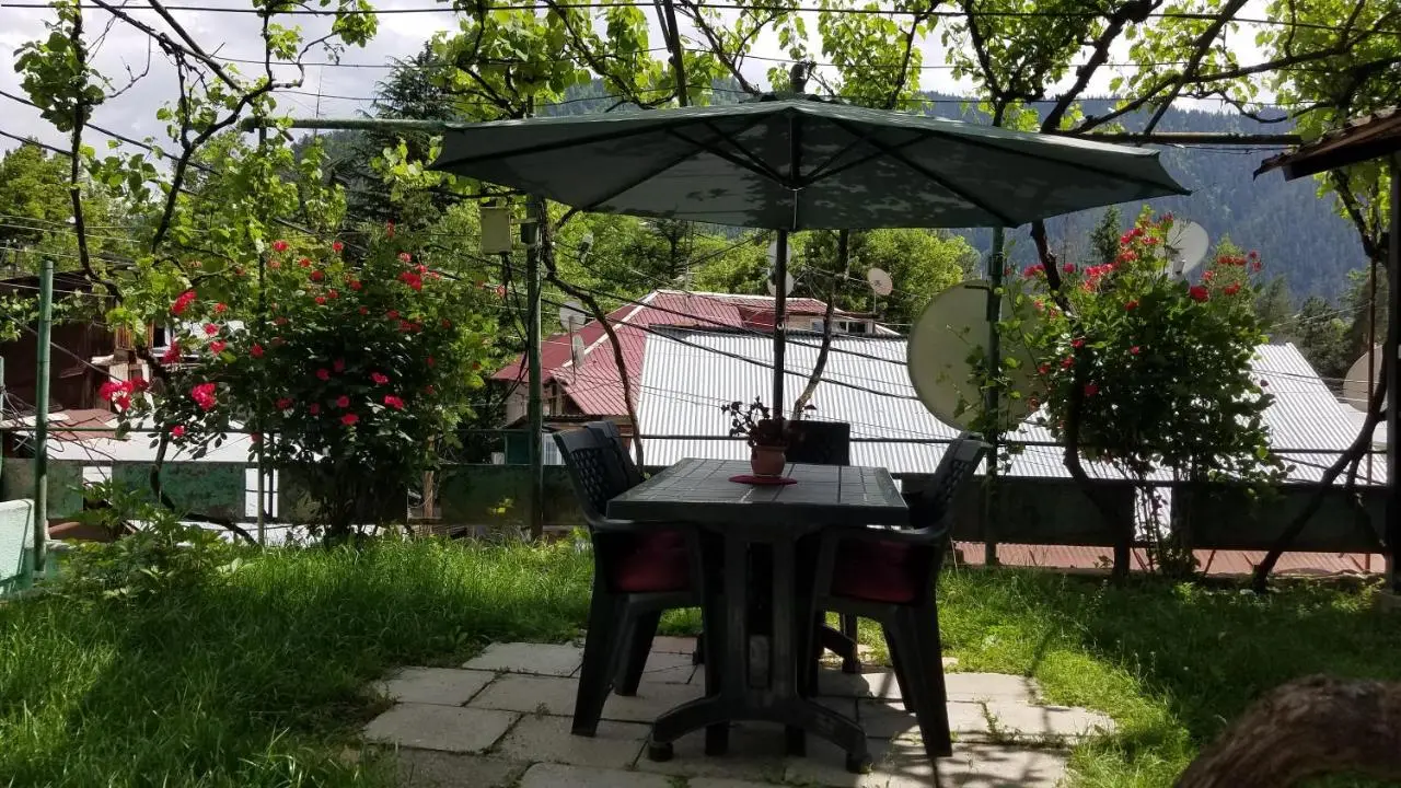 Guest House Green Rose