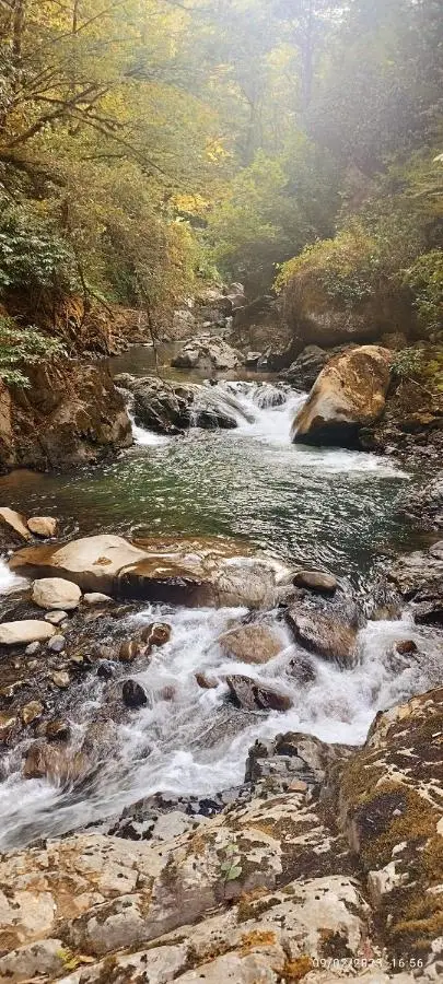 GREEN GUNDAURI