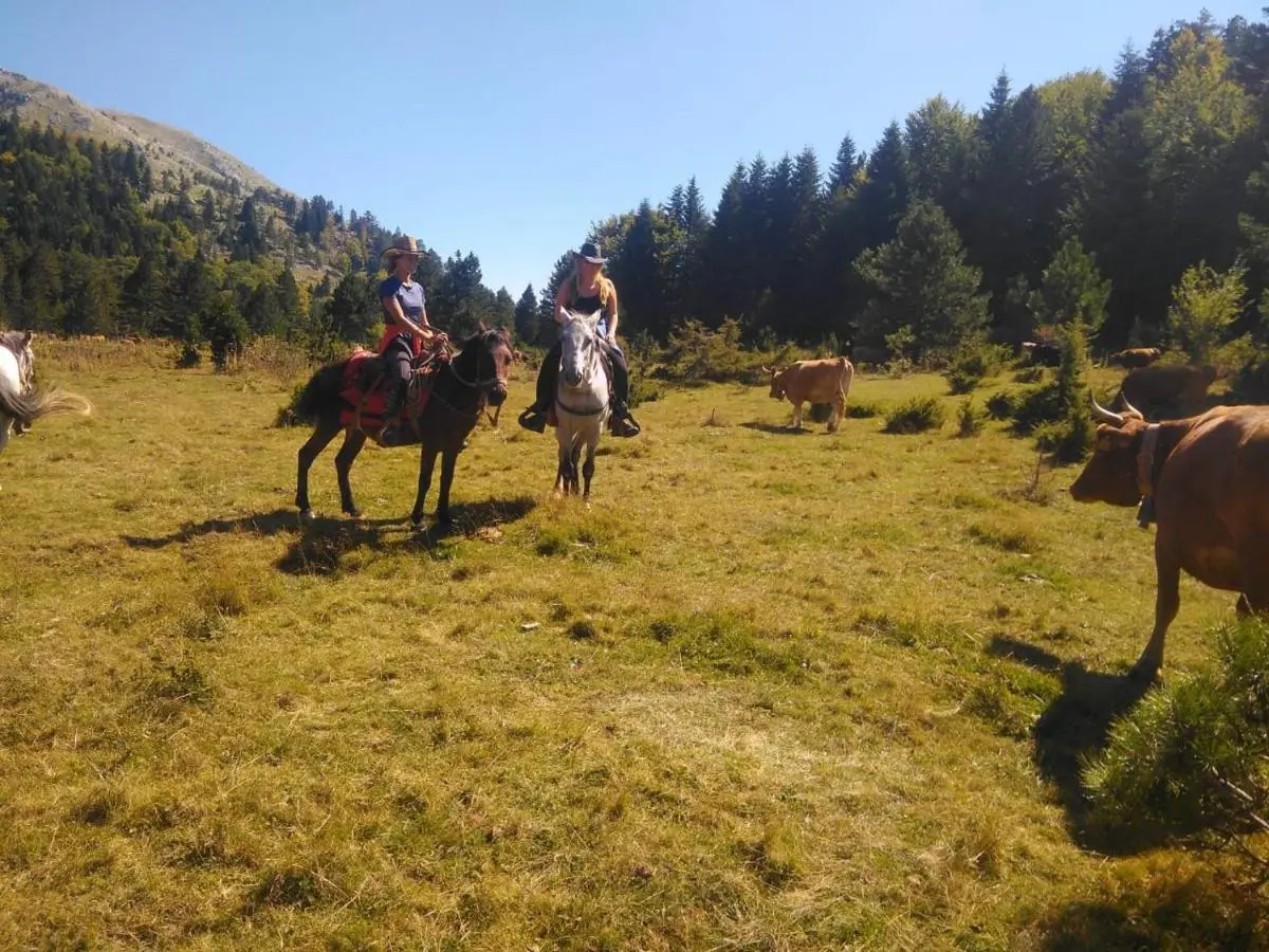 Horse Riding Albania