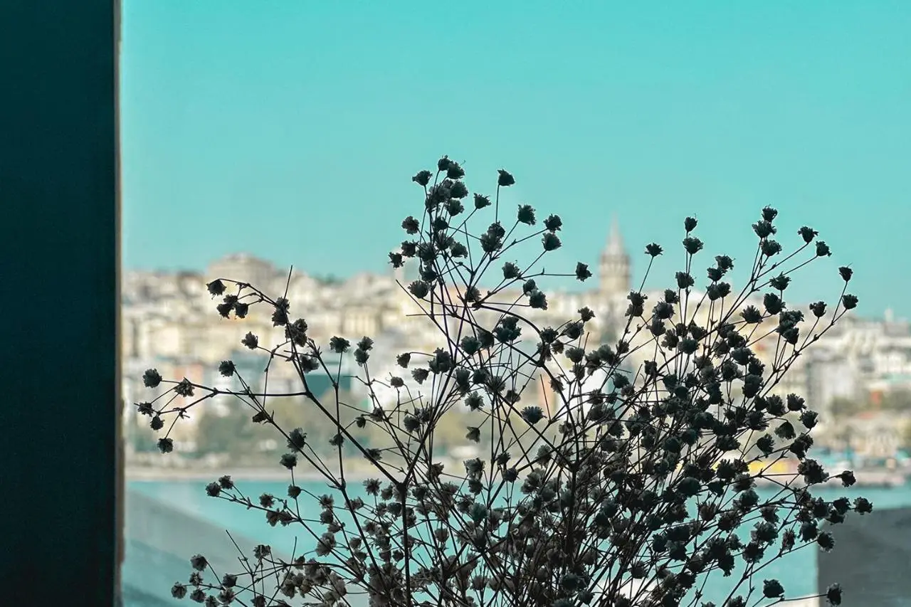The Haliç Bosphorus Hotel