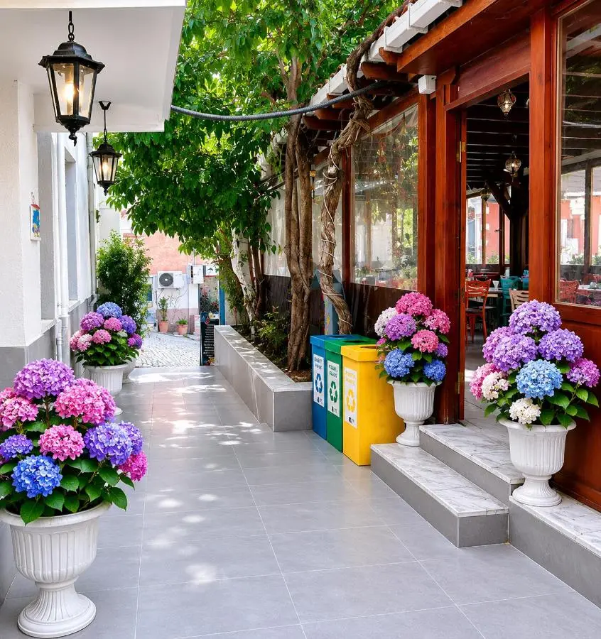 Anadolu Hotel