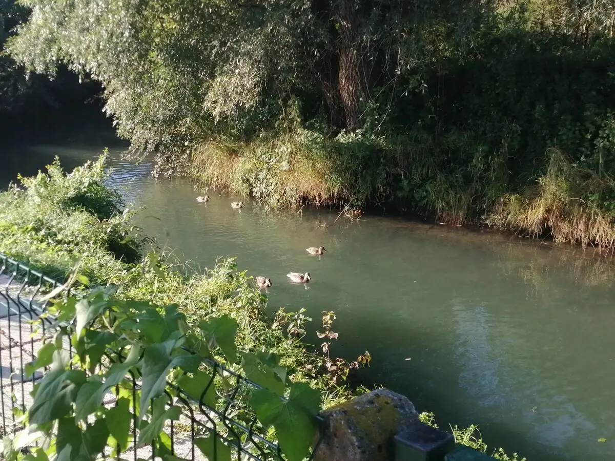River Bank & castle view apartment 1