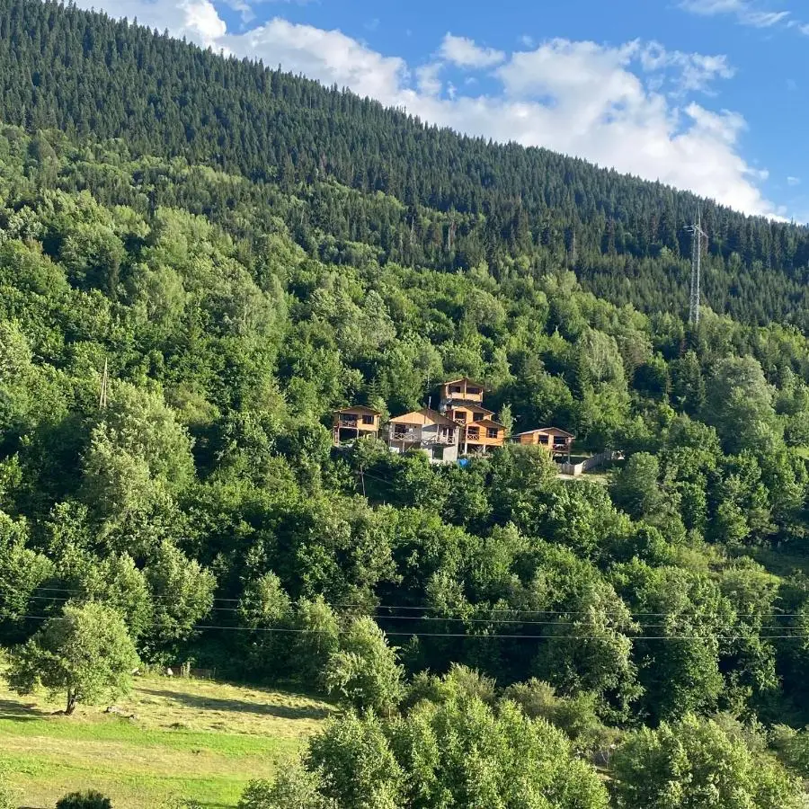 Cottage Cozy Side with Stunning Mountain View