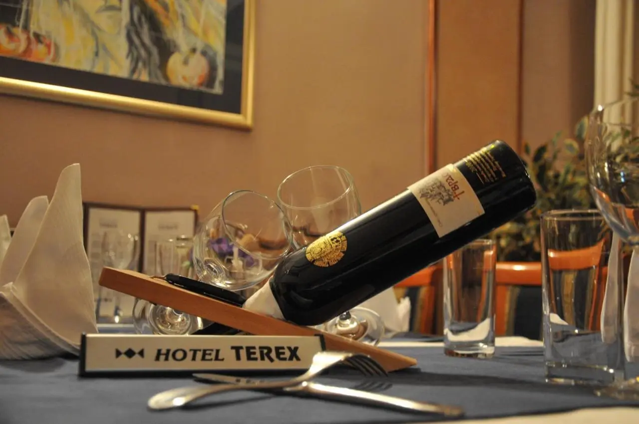 Hotel Terex