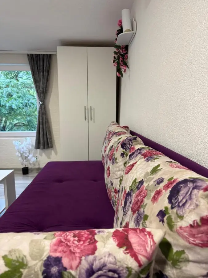 Georgeous lux apartment
