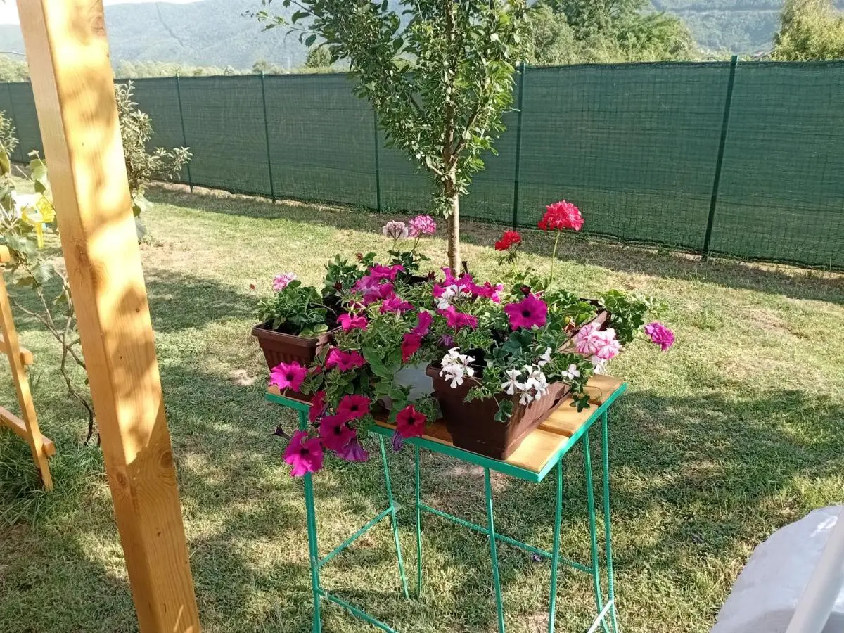 Villa 'Whispering Pines' Ilidža