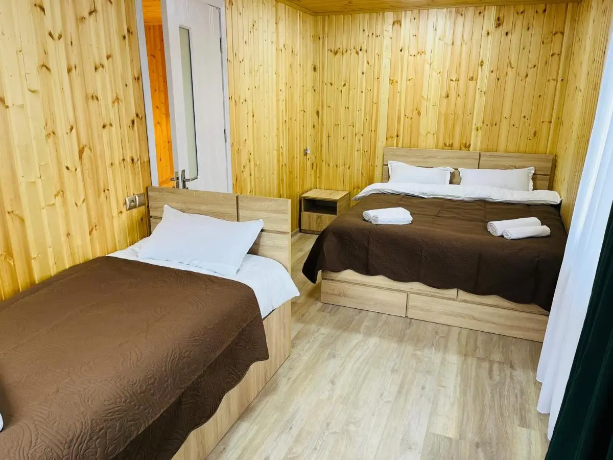 Buddy House Borjomi