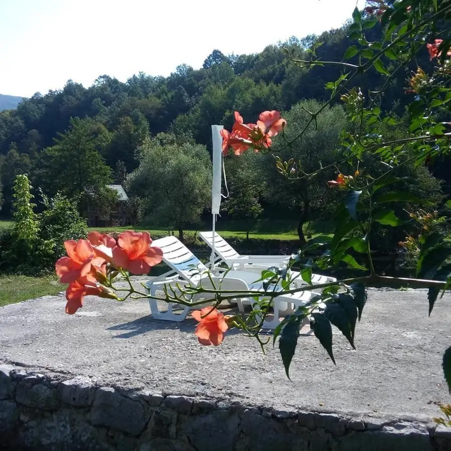 Saraj Guest House