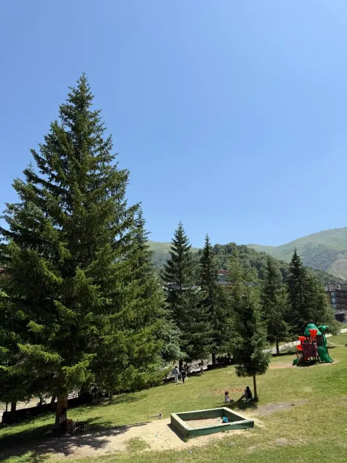 Bakuriani Apartment