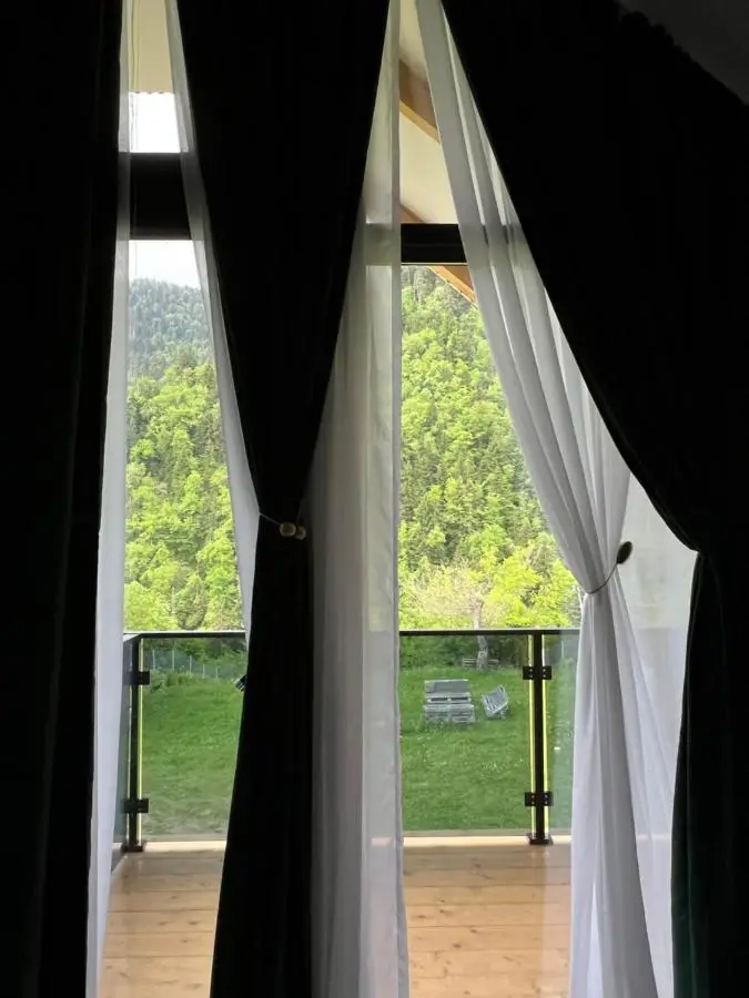 MTA house - Borjomi