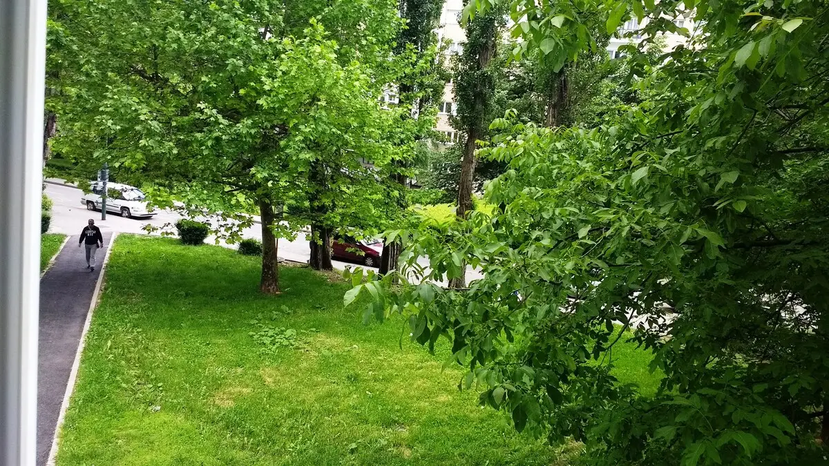 True Home Tranquility