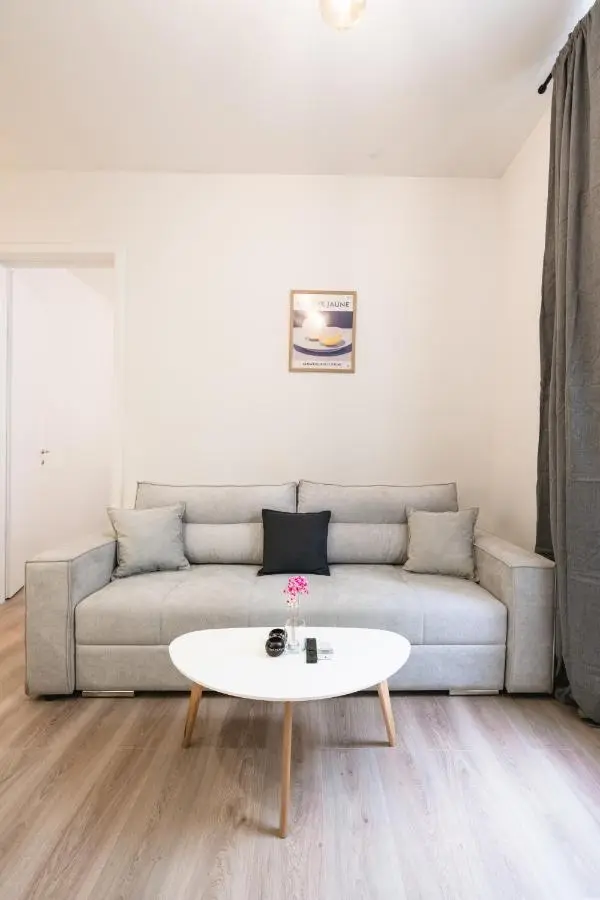 Modern Apartments in the Center of Sarajevo
