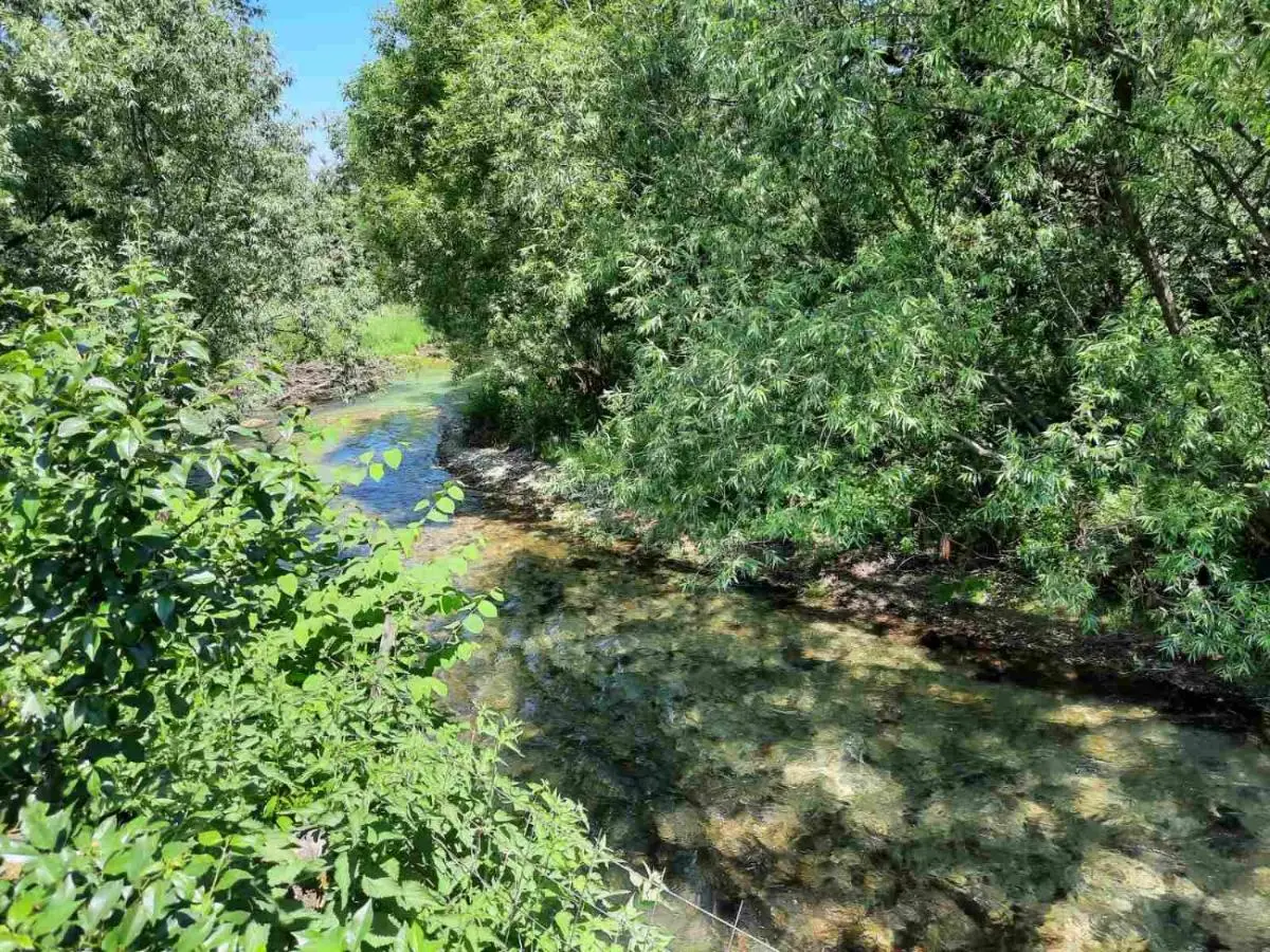 The Bosna River