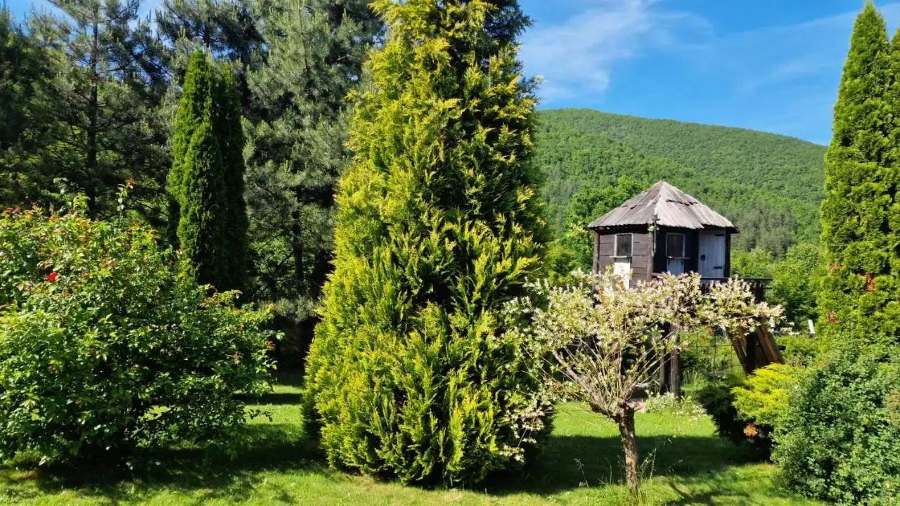 Residence Green Pool & SPA