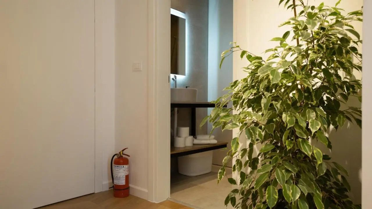 Albani's Apartment
