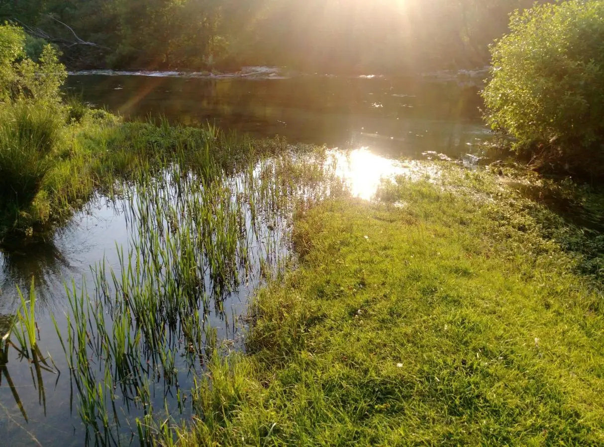 River House Buna