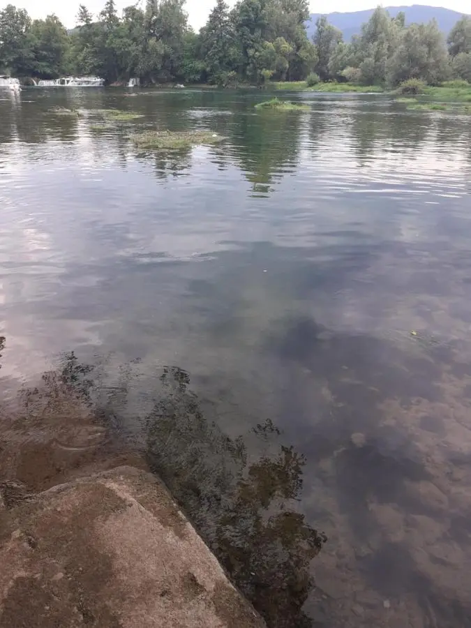 Apartman Dalal - with access to river Una