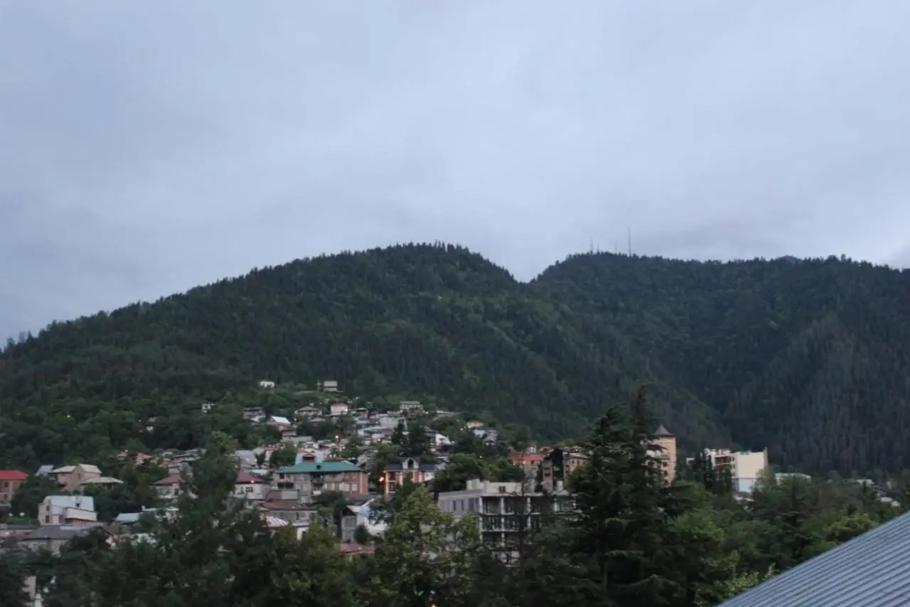 Diasamidzeebi apartment