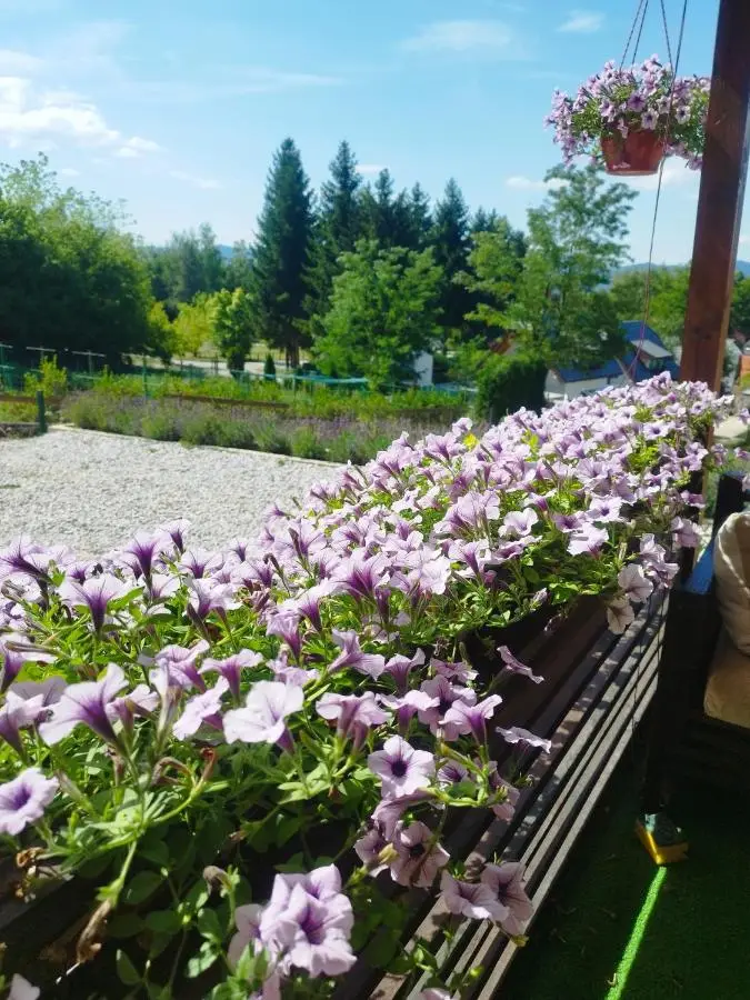 Perla Accommodation