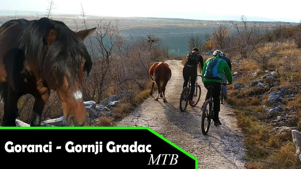 Kuća za odmor Bela Goranci