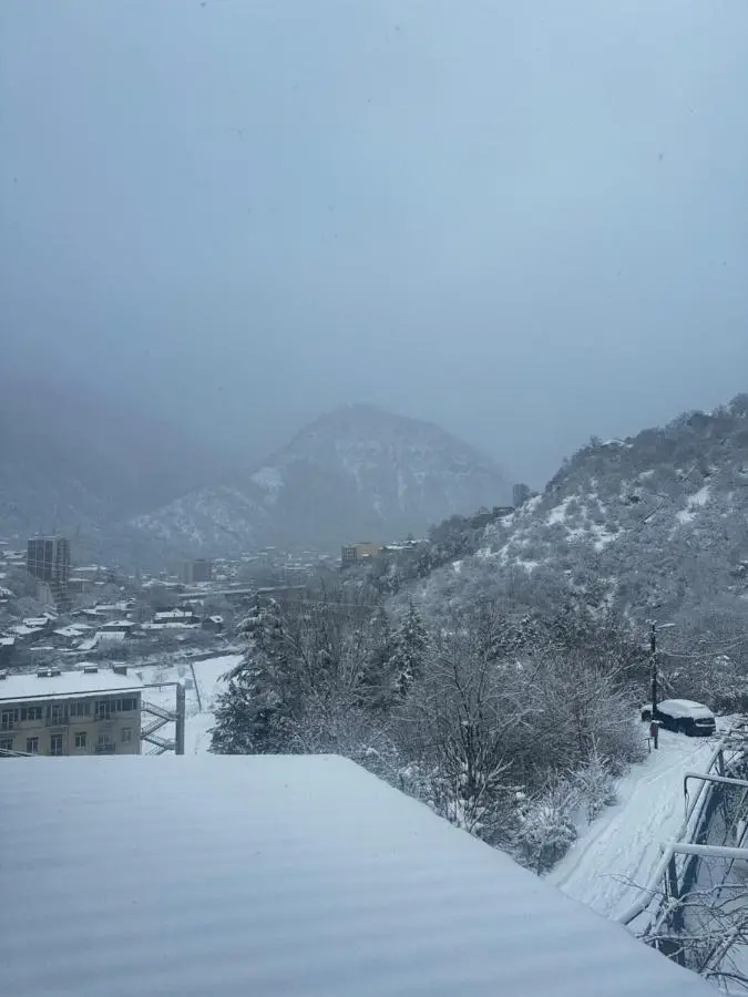 Woodland Borjomi