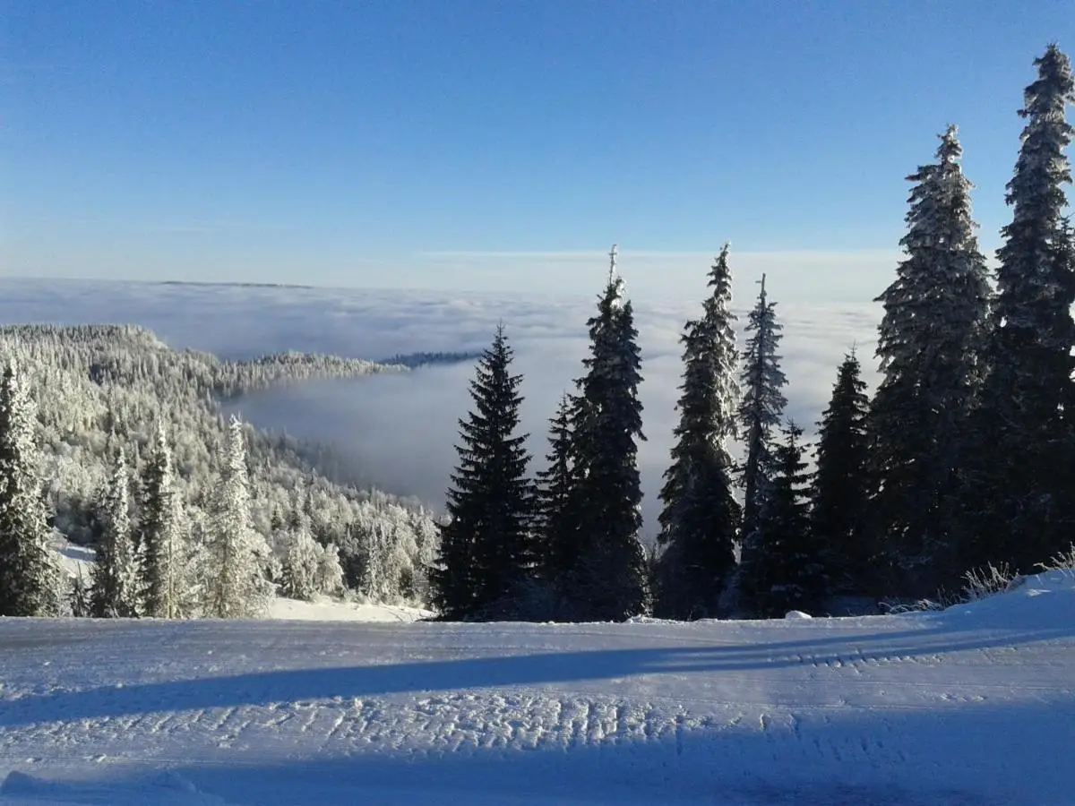 Vikendica Zlatna Žita Jahorina