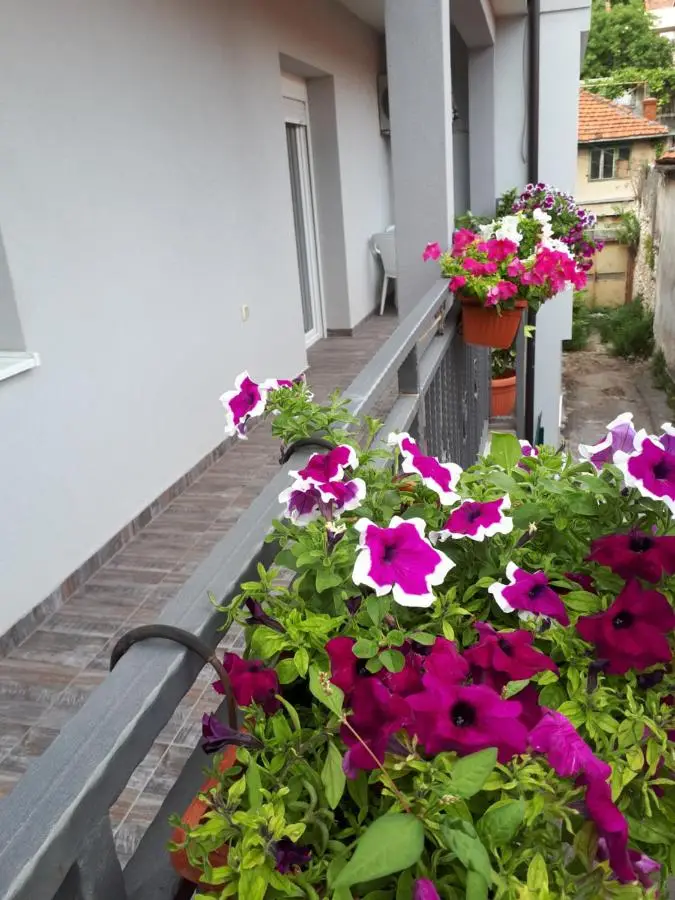 Apartments City Paradise