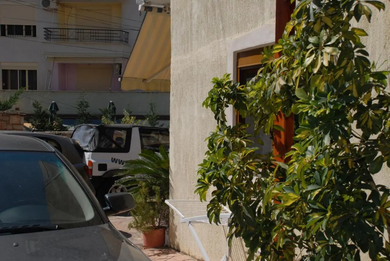 Olive Tree
