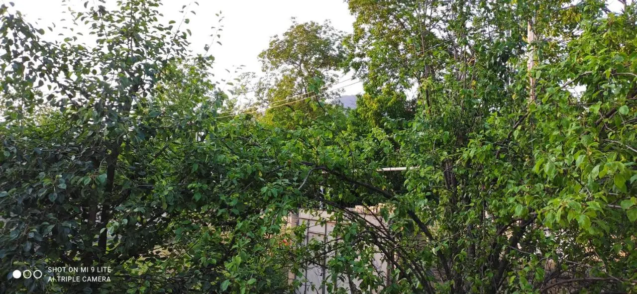 Qabala Villa House Samir