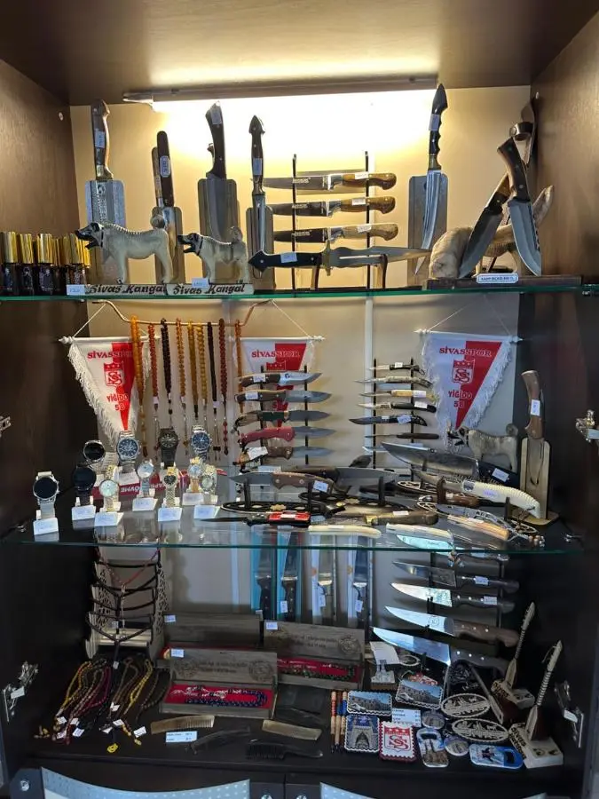 Özkaya hotel