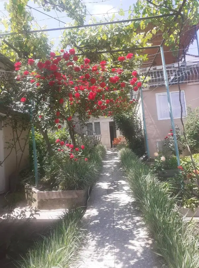 Emma's Guesthouse in Borjomi
