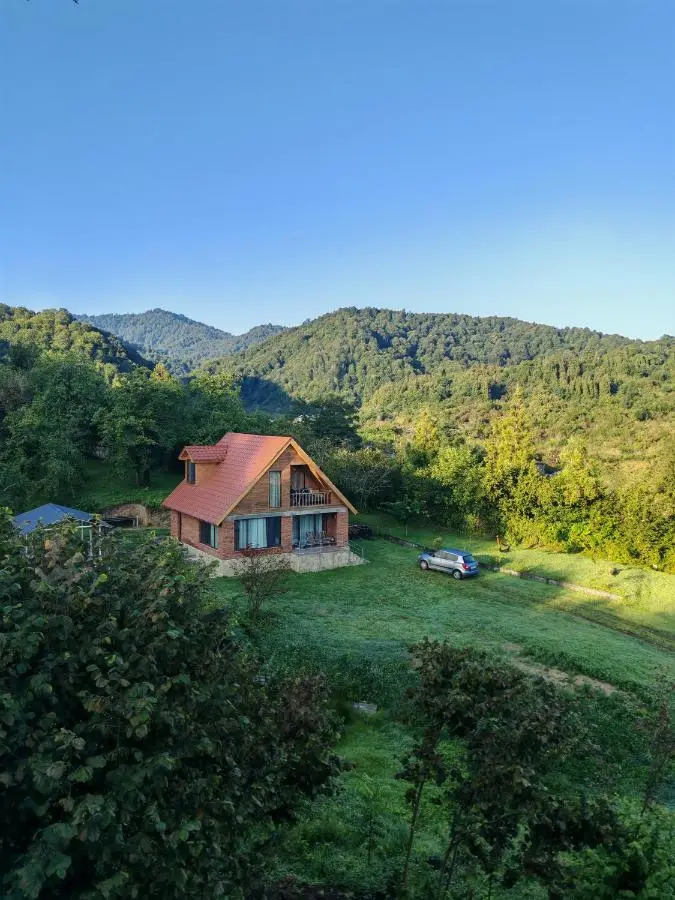 Shemoqmedi Chalet