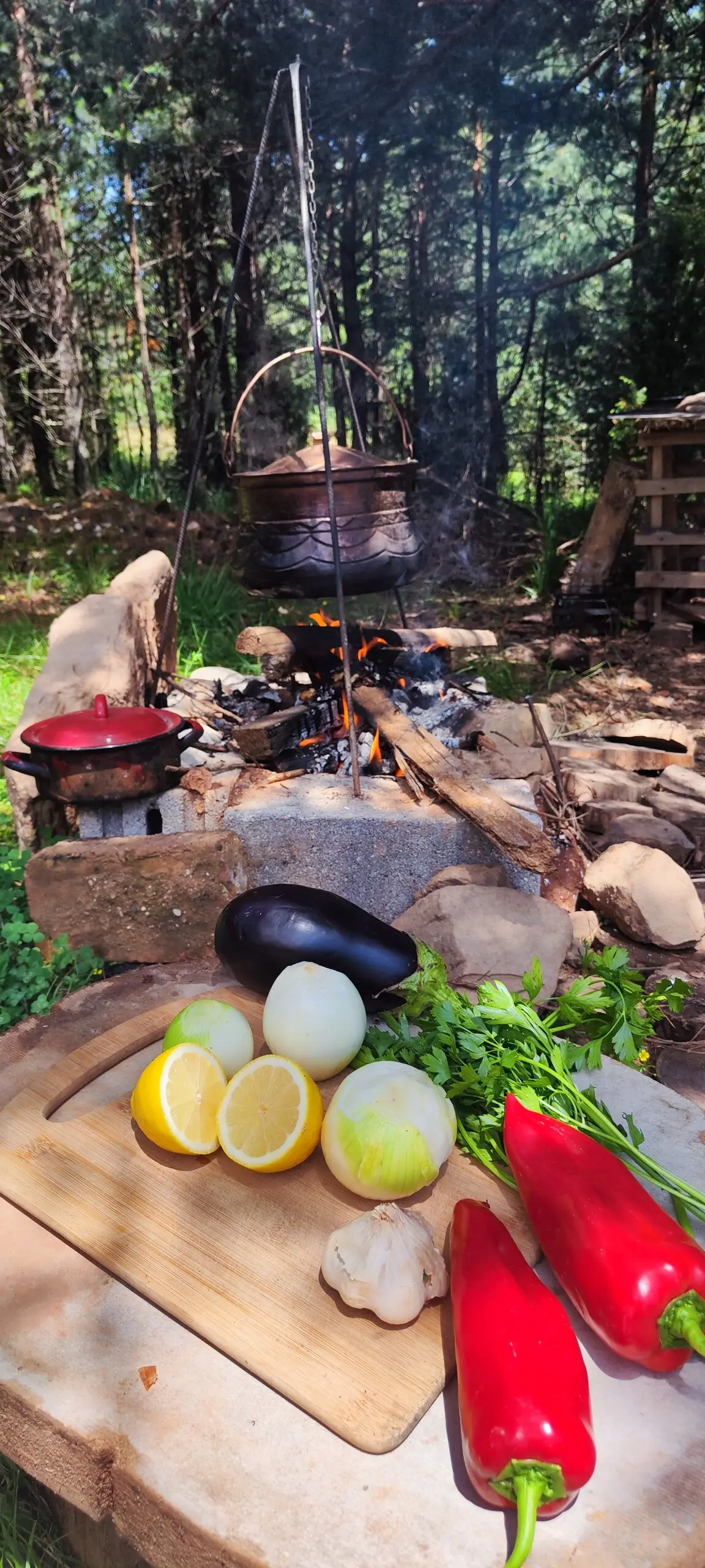 Cozy Forest Hut near Sarajevo with outdoor hot tub