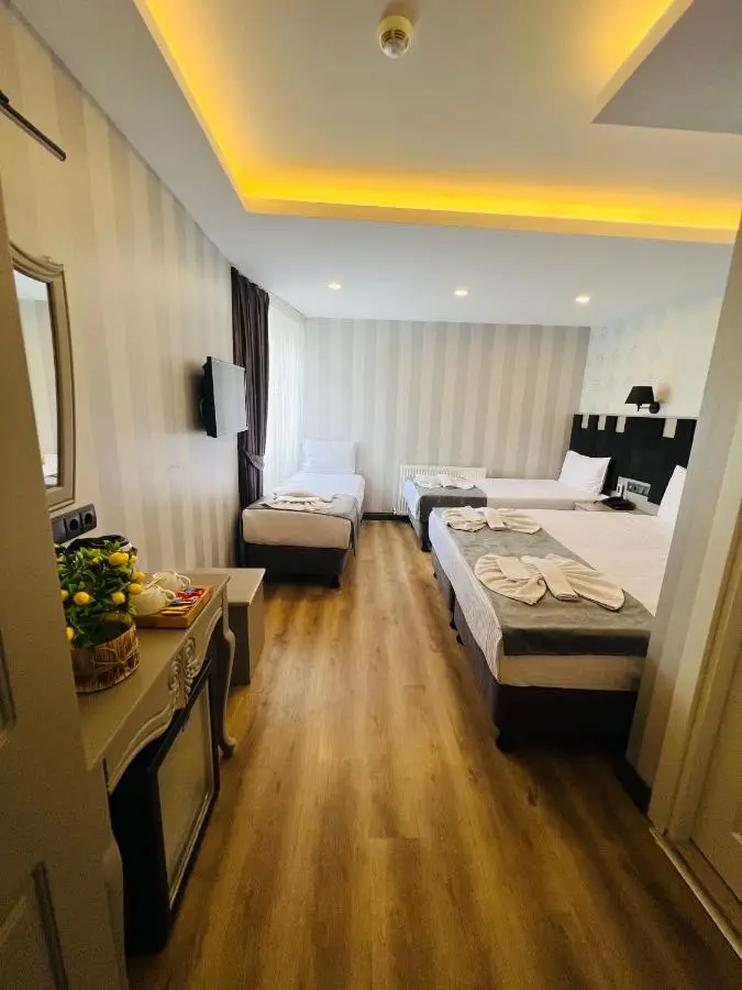 Old City Viva Hotel