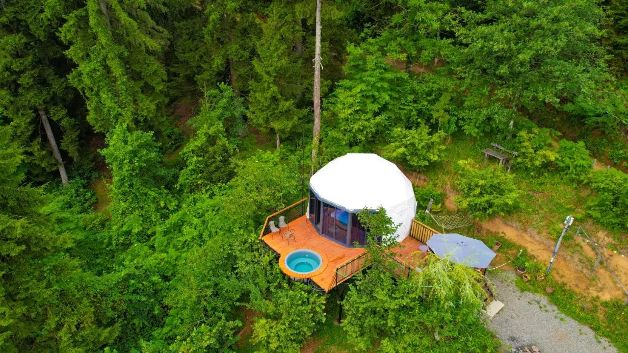 Ajara Glamping Kokotauri